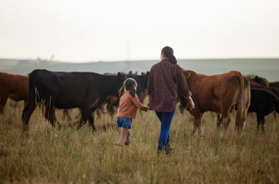 A mother walking with he daughter in a field with cows
